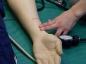 English: Measurement of radial pulse of a doll in an out-of-hospital exercise. The radial artery is palpated with two fingers. This simple measurement gives information on: - blood pressure (pulse cannot be found or can be found; pulse feels weak, even th