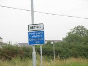 English: Traffic Sign at Bethel. The B4366, a fast and busy road, passes through the village, and speeding traffic has been a constant problem.