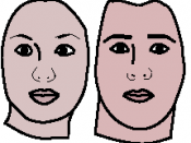 English: This is a reproduction of two variants of one woman's face -- one masculinized and one feminized. The two computer-created morphs were done by Face Research, a psychological organization that studies human faces. http://www.sciencenewsforkids.org