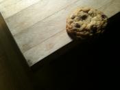 Melodramatic chocolate chip cookie.