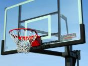 Mammoth Basketball hoop, basketball, Lifetime Products