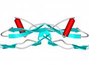 3D structure of GDNF. Image generated by the user based on the atomic coordinates published in work of Eigenbrot and Gerber, Nat Struct Biol. 1997 Jun;4(6):435-8. The original atomic coordinates are deposited in public domain depository: http://www.ncbi.n