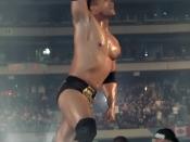 English: The Rock at WrestleMania X8. Skydome, Toronto, ON, March 17 2002. Taken by me, cropped.