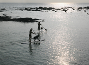 English: Paddling surfboards in Kona