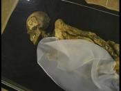 Princess Ukok/Princess of the Altai: A mummy that was found in 1993 in a kurgan in the remote Ukok Plateau in the Altai Republic in Russia, which is now the subject of a fight about her future atatus between the republic Altai and its inhabitants on one s