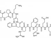 English: adrenocorticotropic hormone (ACTH), structure Hrvatski: adrenokortikotropni hormon (ACTH), struktura