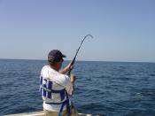 Deep sea fishing from a boat in the Gulf of Mexico