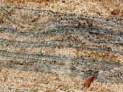 English: Heavy mineral layers (dark) in a quartz beach sand (Chennai, India).