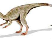 Compsognathus longipes, a coelurosaur from the Late Jurassic of Europe, pencil drawing
