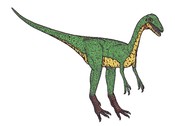English: Compsognatus was a meateating dinosaur, the size of a hen. It lived in Germany during the late jurassic.