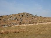 English: Combshead Tor Photograph taken from just east of Narrator Brook.