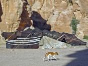 English: Bedouin tent in Petra (Jordan)