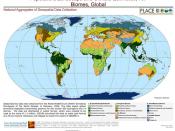 Biomes, Global