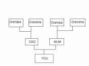 A family Tree