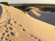 Sand Dunes in the Sutherland Shire, New South Wales, Australia. Two photo stitch
