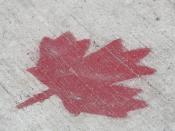 A maple leaf painted on a sidewalk using a stencil.