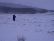 English: Hard going. Heading west from Derry Lodge into the wind through deep snow.