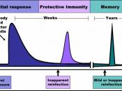 The time-course of an immune response begins with the initial pathogen encounter, (or initial vaccination) and leads to the formation and maintenance of active immunological memory.