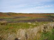 English: Dirt tracks. Erosion caused by dirt bikes on the Berwyn hillsides.