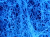 English: Micrograph of tissue paper. Illumination is by ultraviolet light causing autofluorescence of the fibres, the image was captured through a blue filter to block direct illumination. 9 images manually stitched into a panorama. Individual fibres are 