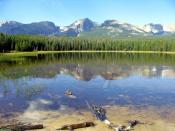 Reflection of mountains in Bierstadt lake. Also, two ducks. Digital photograph taken by uploader, August 2005.
