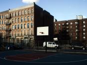 Abandoned buildings in Mott Haven awaiting renovation to house low income residents.