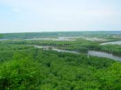 The Wisconsin River delta into the Mississippi River taken at Wyalusing State Park in Wisconsin. The Wisconsin flows from the near right to the Mississippi River. The Mississippi River flows from the right to the left. Iowa is visible in the distance on t
