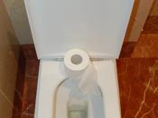 English: Toilet paper roll over the toilet Português: Um rolo de papel higiênico sobre o vaso sanitário.
