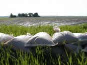 English: Holt County, MO, 5-18-07 -- Sand bags lie on top of a levee in the northwest section of Missouri. Hundreds of residents and thousands of acres of farm land were destroyed when flood waters breached the levees in the area. Photo by Patsy Lynch/FEM