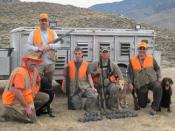 English: Image of an upland game (quail) hunt in the Mojave desert in California.