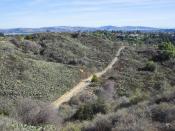 English: A view of Coyote Hills in Fullerton, California.