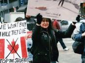 Stop the Seal Hunt