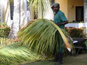 English: A Dominican Republic resort garden worker.