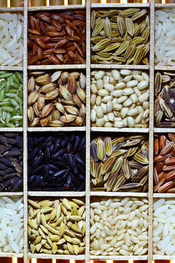 Rice Diversity. Part of the image collection of the International Rice Research Institute (IRRI) .