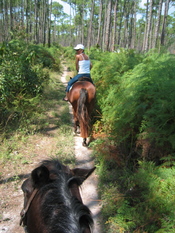 Horseback riding Bahamas 2003