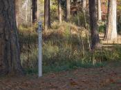 English: A peace pole in Spokane's Finch Arboretum
