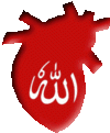 Allah as having been written on the disciple's heart according to Qadiri Al-Muntahi order