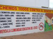 A public service campaign teaching people measures to prevent dengue fever and yellow fever, in Encarnación, Paraguay.