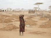 Children have walked for weeks across the desert to get to Dadaab, and many perish on the way. Others have died shortly after arrival. On the edge of the camp, a young girl stands amid the freshly made graves of 70 children, many of whom died of malnutrit