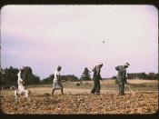 Chopping cotton on rented land near White Plains, Greene County, Ga.  (LOC)