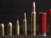 This is a line-up of pistol and rifle cartridges. From left to right: 9 mm Luger Parabellum, .40 S&W, .45 ACP, 5.7x28mm, 5.56x45mm NATO, .300 Winchester Magnum, and a 2.75-inch and 3-inch 12 gauge.