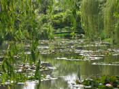 English: Monet's garden at Giverny