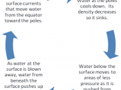 English: Surface and deep currents together form convection currents that circulate water from one place to another and back again. A water particle in the convection cycle can take 1600 years to complete the cycle.