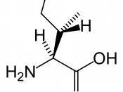 Chemical structure of Isoleucine