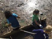 English: Students at St. Paul's Episcopal School in Oakland CA clean Lake Merritt in the Service Learning program.