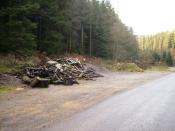 English: Dumping ground in House Dale - Dalby Forest