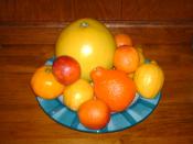 English: This is a picture of a variety of citrus fruits. It includes a single Pummelo, four Blood Oranges, three Lemons, one Minneola Tangelo, and one Tangerine.