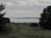 Discovery Park, Seattle, Washington. Looking across the south meadow to Puget Sound.