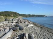 Looking roughly southeast from West Point along the south beach of Discovery Park, Seattle, Washington, USA. Beyond the beach are sand cliffs of the park itself, then houses further south on Magnolia. The body of water is the northwest corner of Elliott B