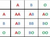 English: ABO Blood Group System